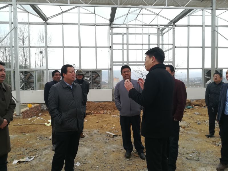 20180307凉山州副州长何绍忠调研布拖县布江蜀丰农业科技示范园区建设情况 20180307凉山州副州长何绍忠调研布拖县布江蜀丰农业科技示范园区建设情况