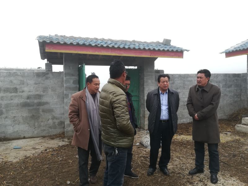 20180307凉山州副州长何绍忠调研布拖县乌科乡洛作村黑绵羊养殖合作社 20180307凉山州副州长何绍忠调研布拖县乌科乡洛作村黑绵羊养殖合作社