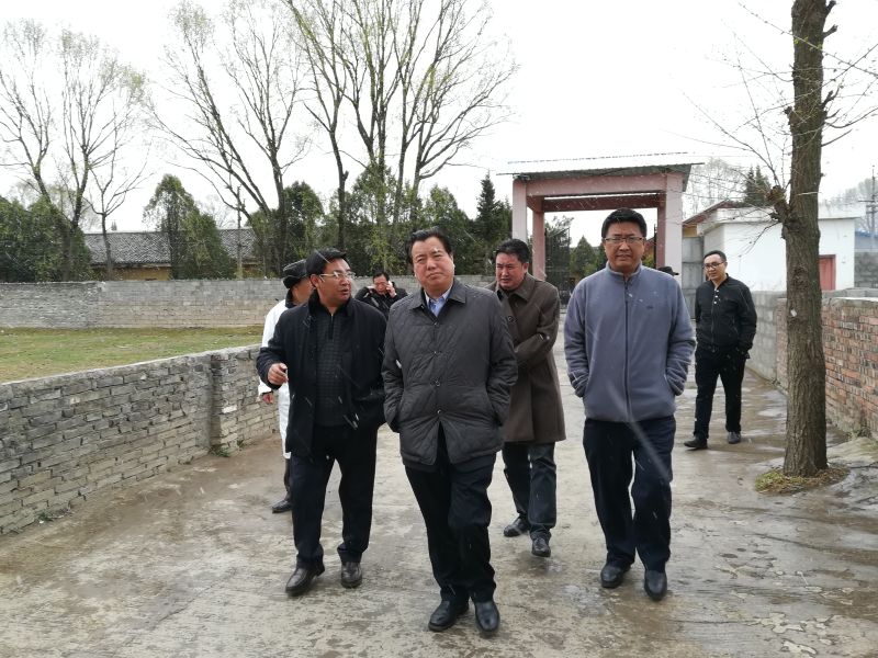 20180307凉山州副州长何绍忠调研凉山州半细毛羊原种场 20180307凉山州副州长何绍忠调研凉山州半细毛羊原种场